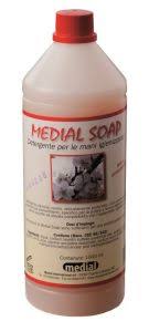 1062-735042 SAPONE IGIENIZZANTE 1 LT