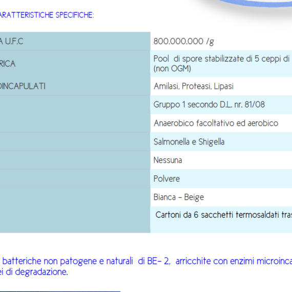1008-POLVERE BIOENZIMATICA REFIL in abbinamento con code 3005